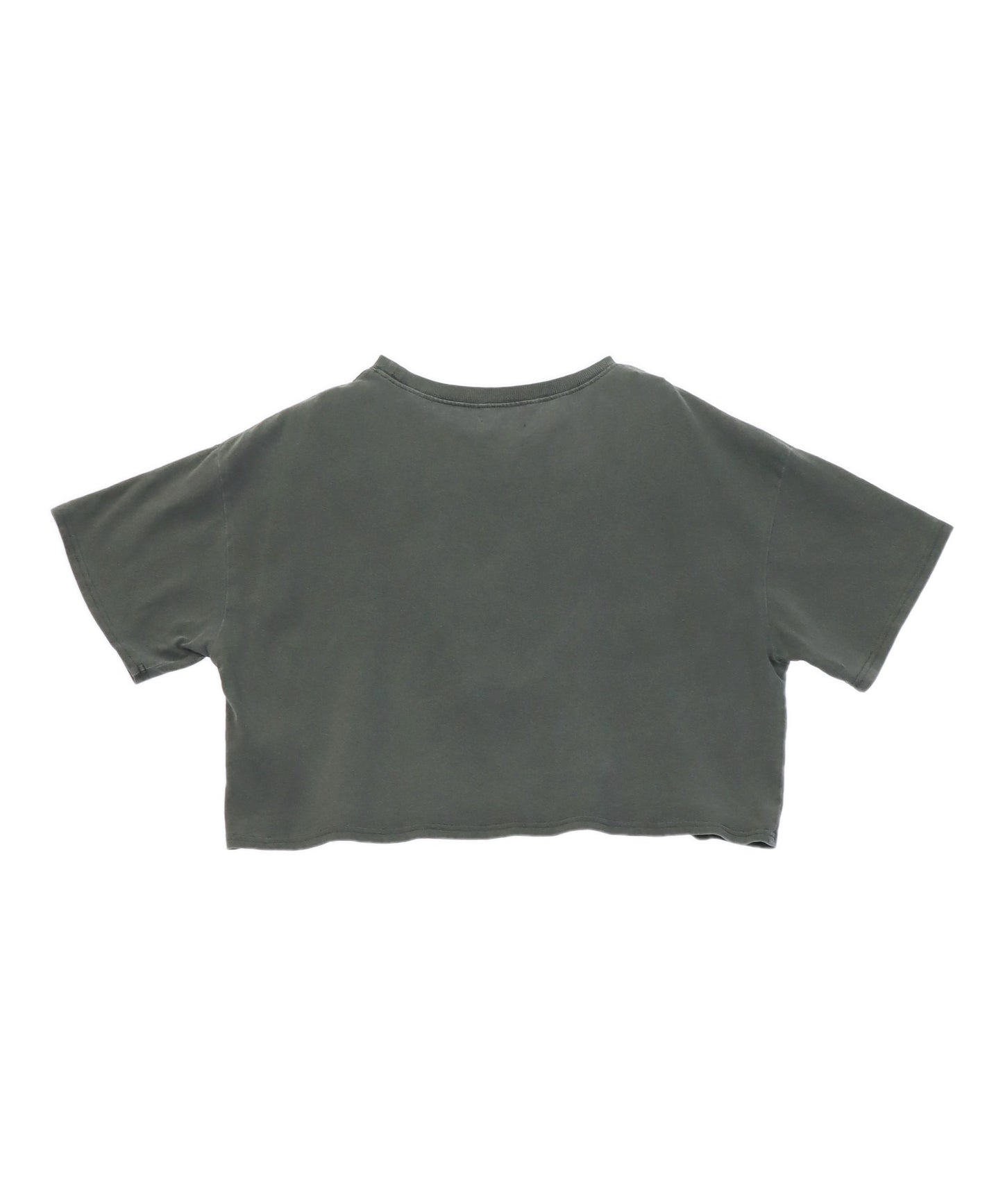 タイガー プリント ヴィンテージ風 クロップド Tシャツ 793-9340