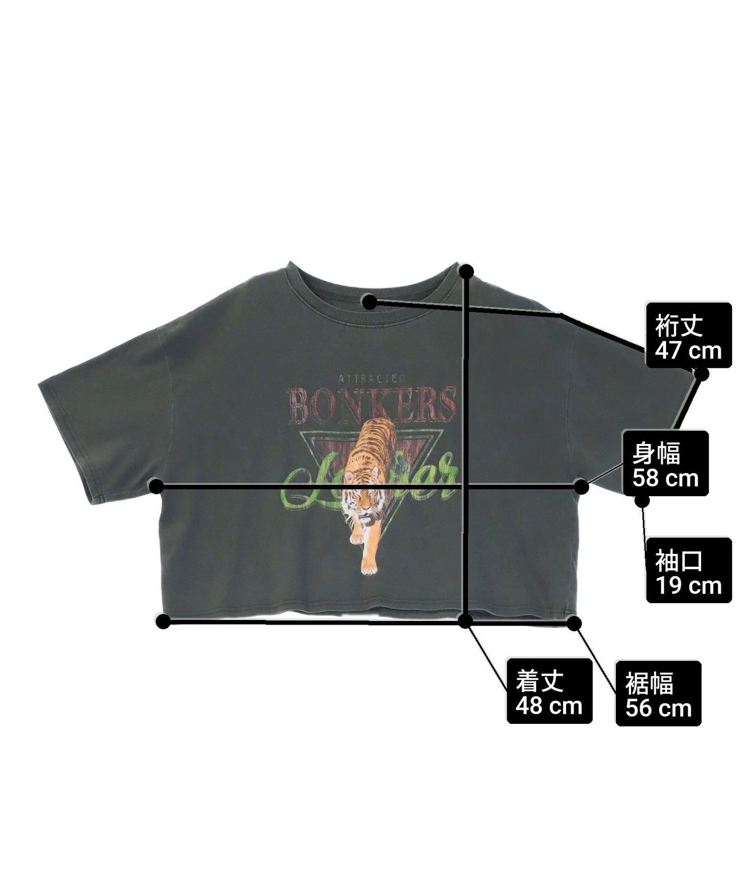 タイガー プリント ヴィンテージ風 クロップド Tシャツ 793-9340