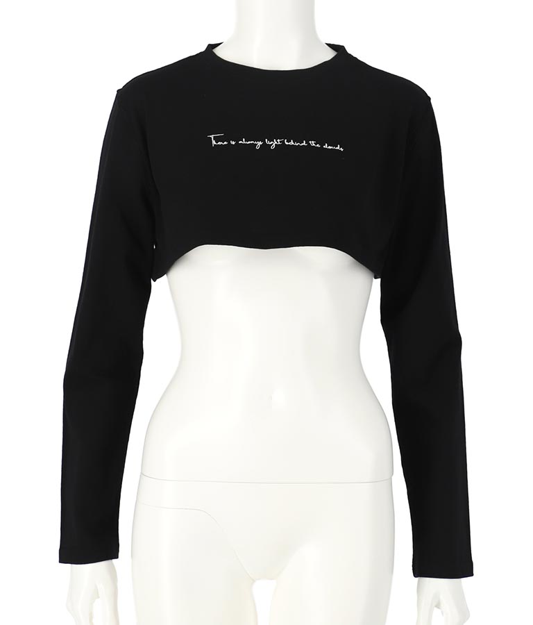 レタリング刺繍ショートTシャツ 493-2513