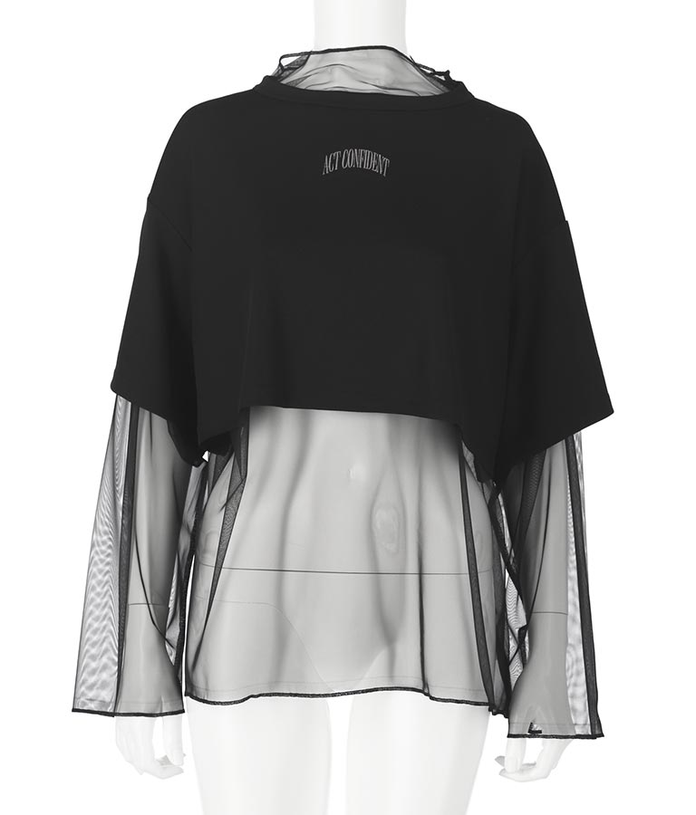 刺繍 ミニ Tシャツ × シアー チュール ロンT セット 798-8965