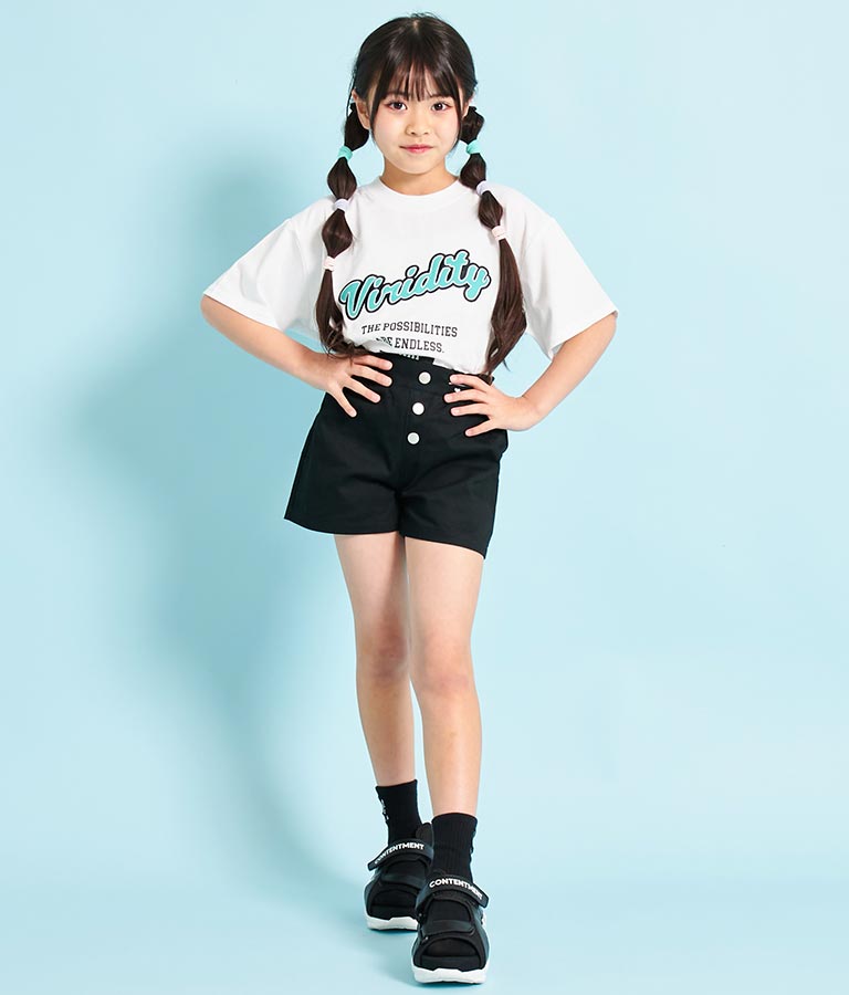 刺繍 ワッペン ビッグ Tシャツ 423-3255