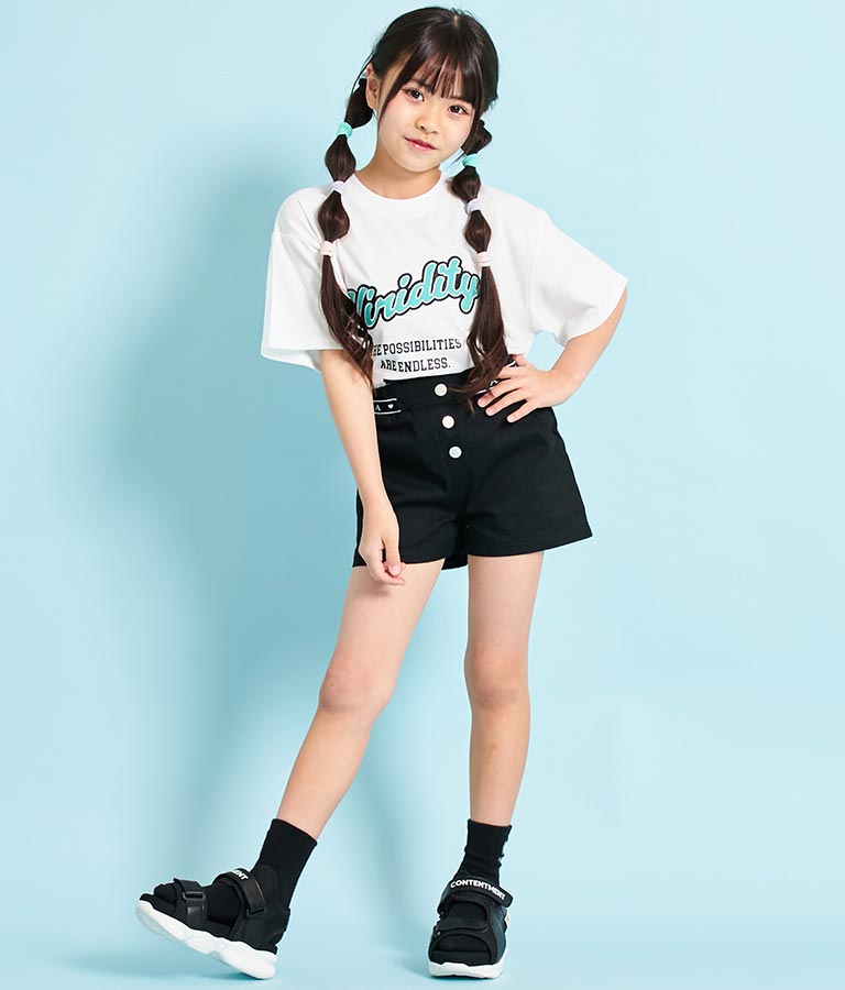 刺繍 ワッペン ビッグ Tシャツ 423-3255