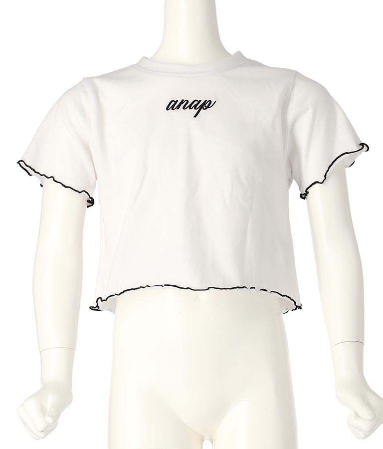 Tシャツ ×レースアップ ビスチェ セット トップス 428-3377
