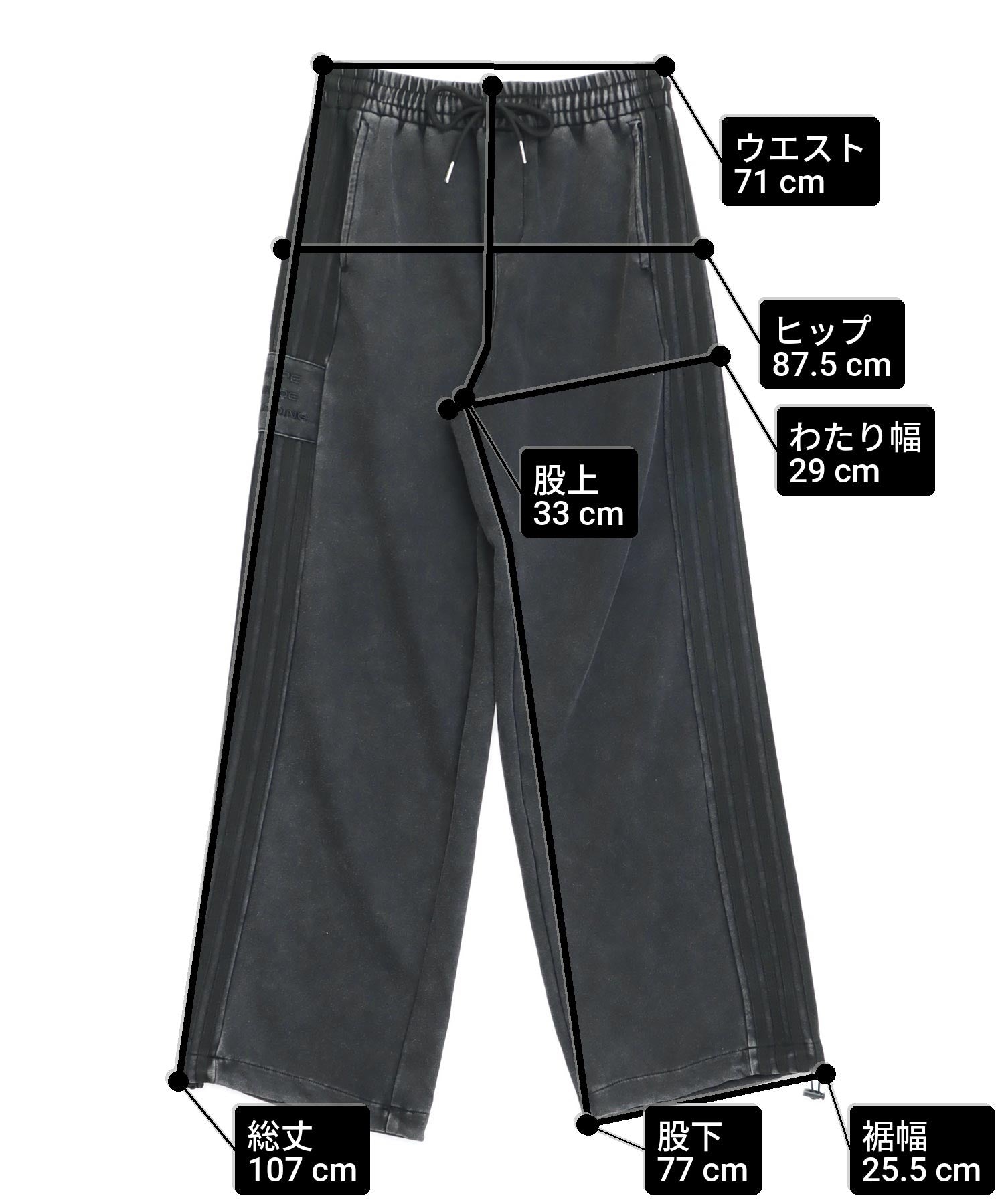 サイズ