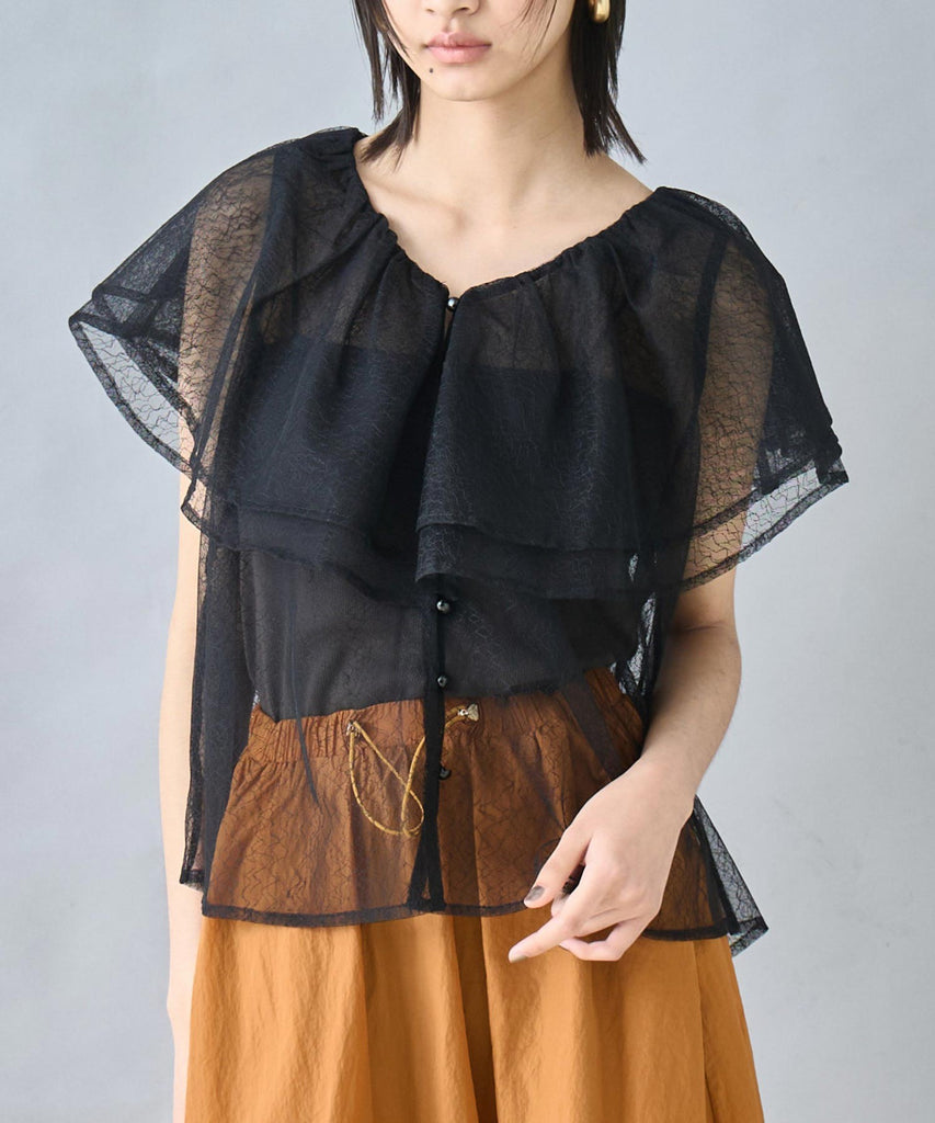 ビッグ フリルカラー ノースリーブ シアー ブラウス 363-9673 – ANAP