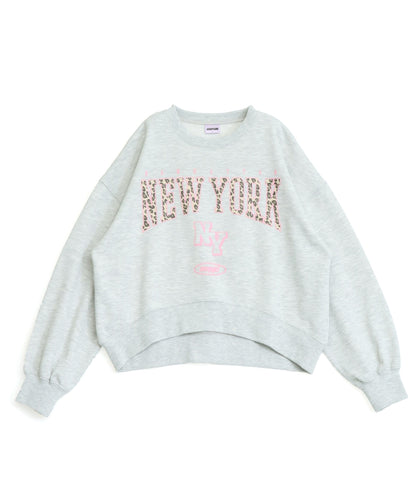 ライトグレー(色見本)