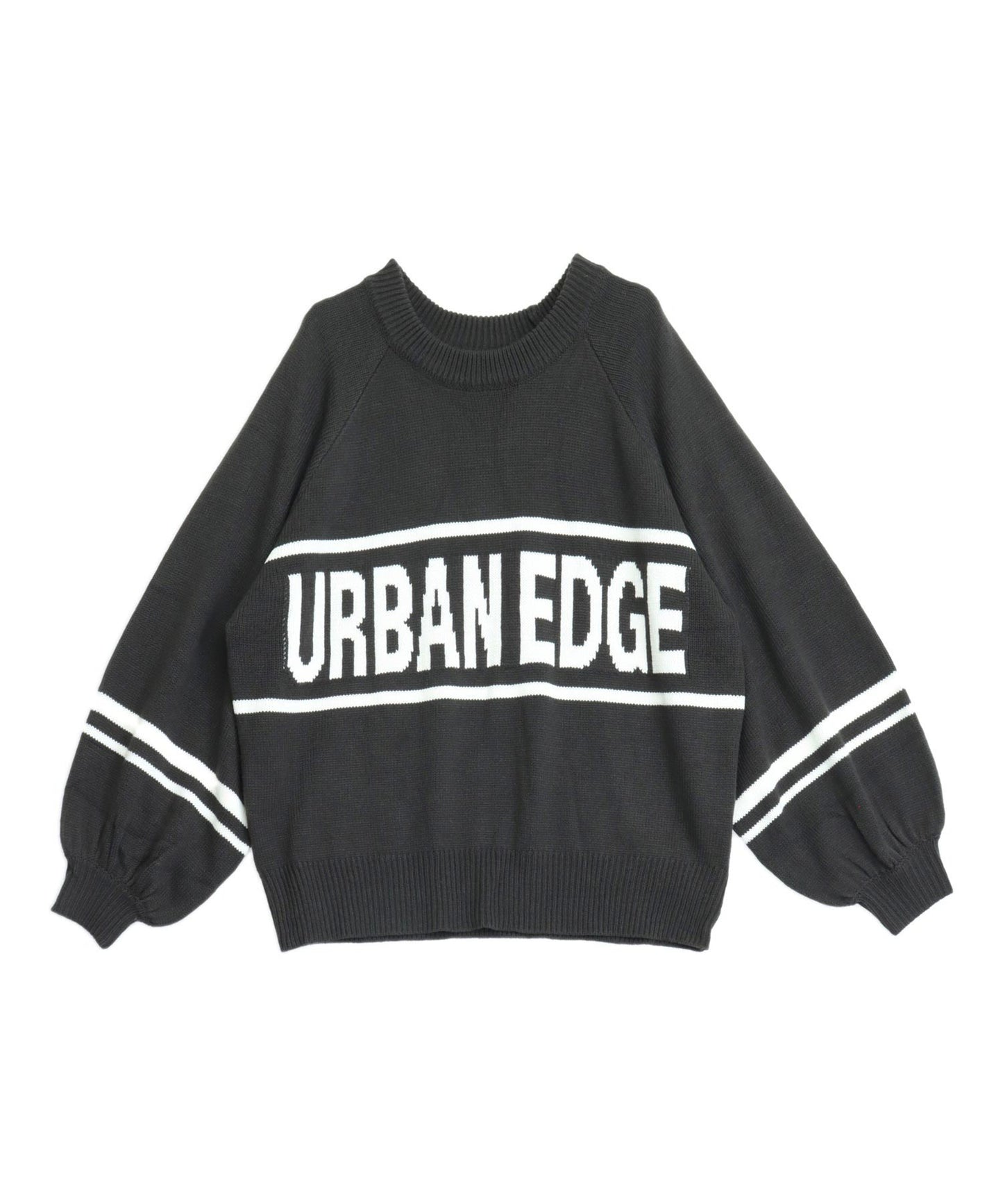 アッシュブラック(色見本)