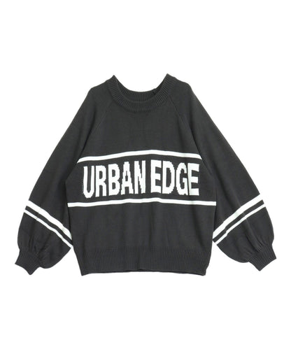 アッシュブラック(色見本)