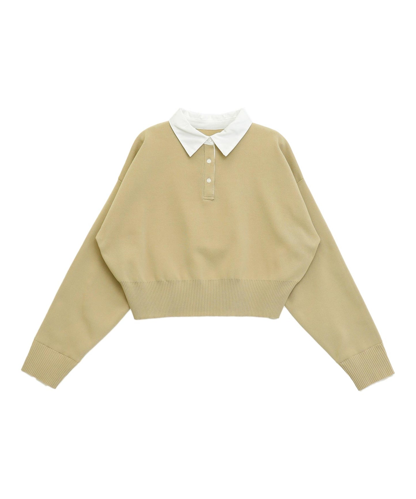 ベージュ(色見本)