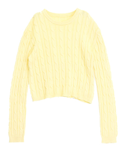 イエロー(色見本)