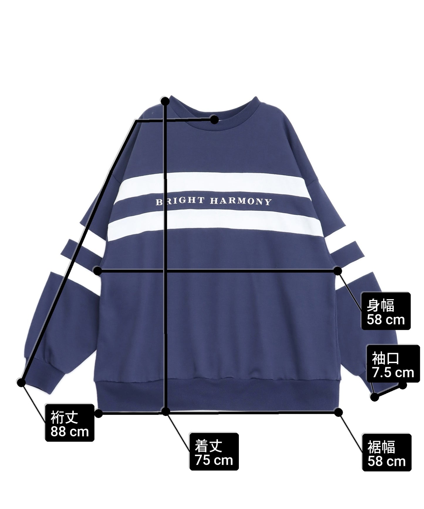 サイズ