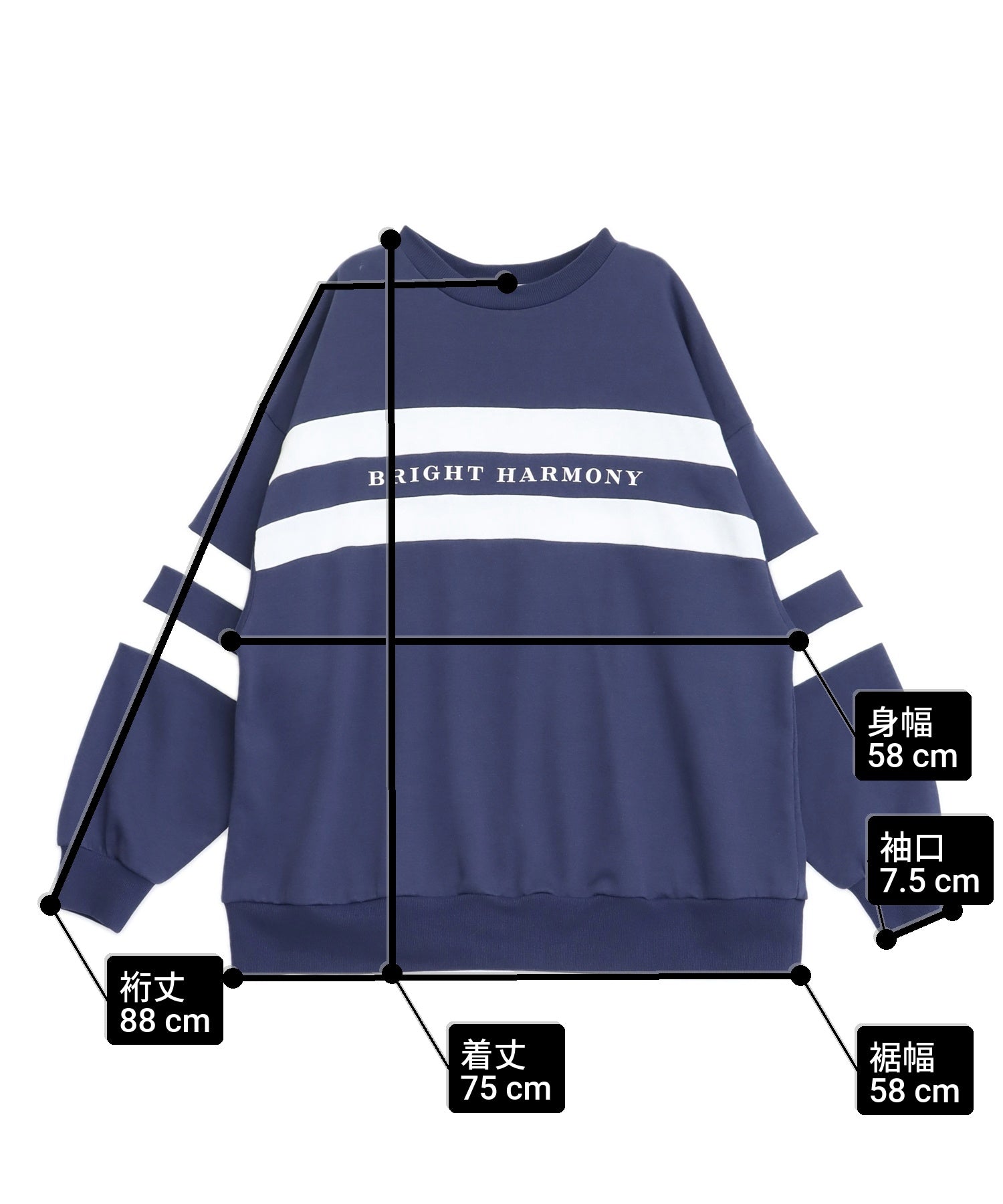 サイズ