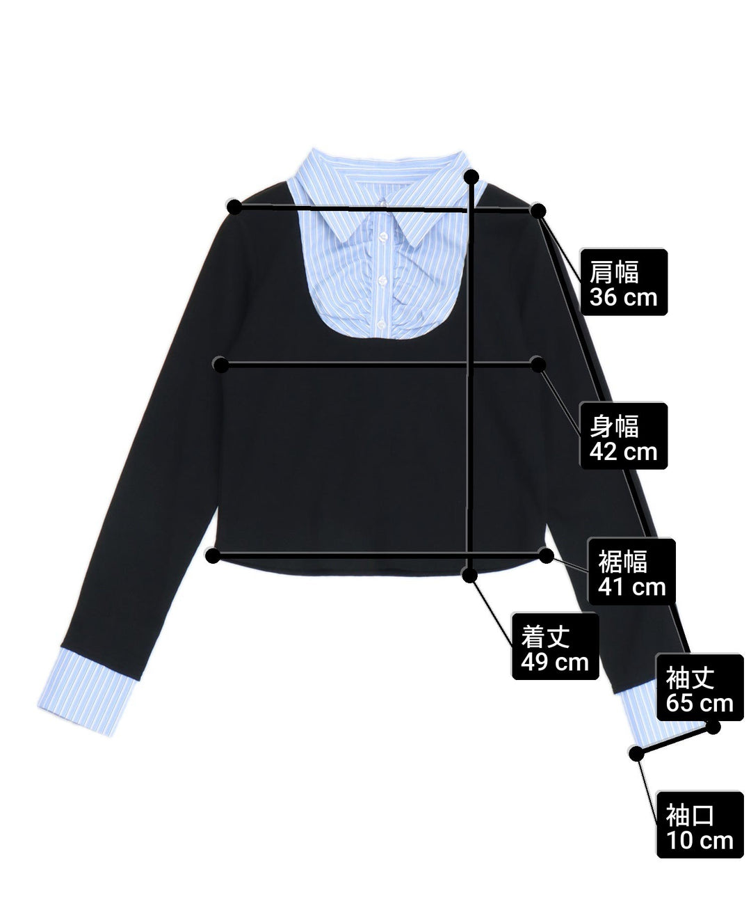 サイズ
