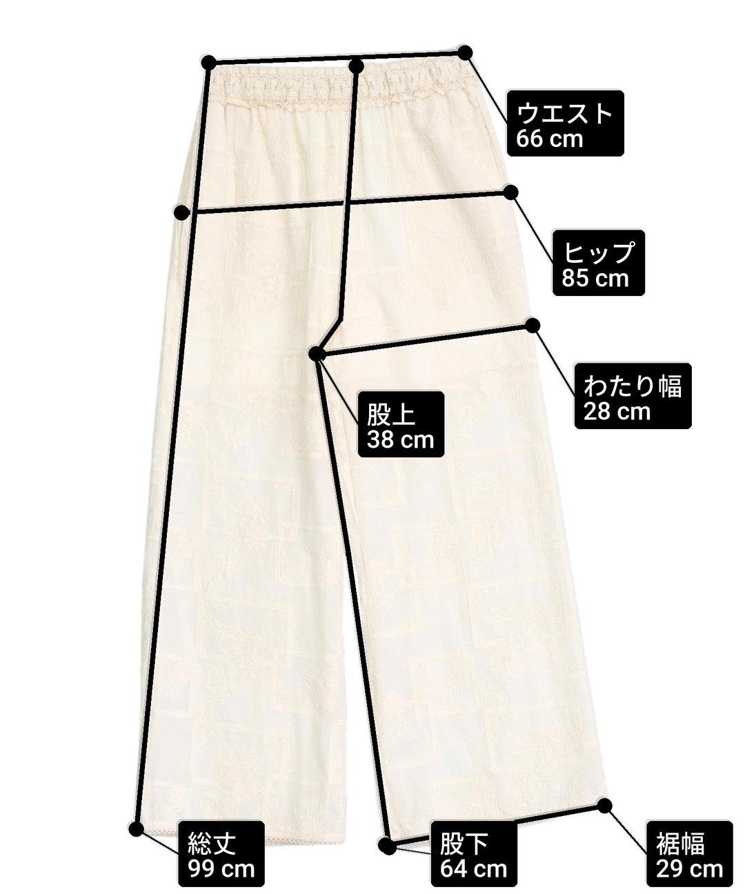 サイズ