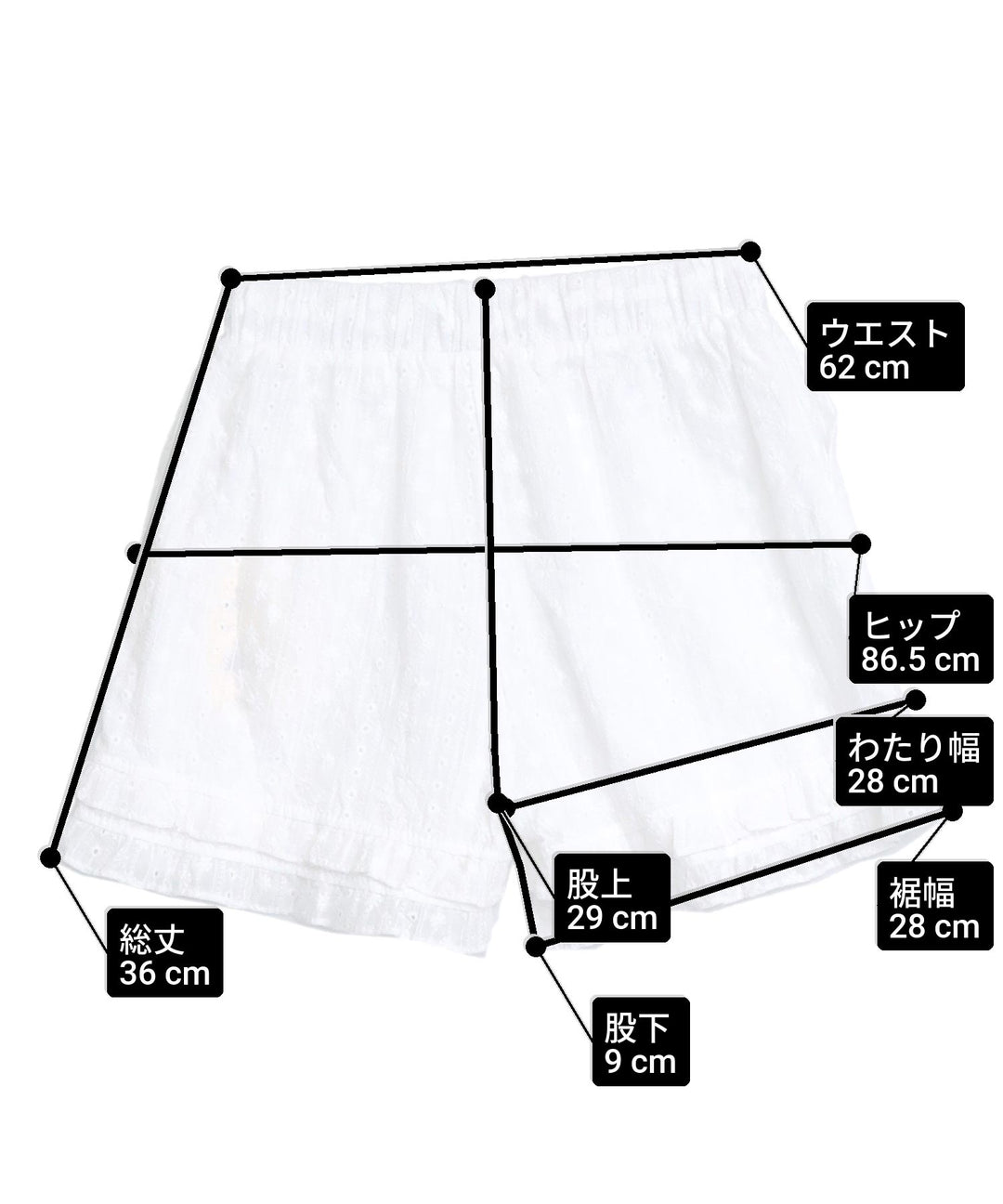 サイズ