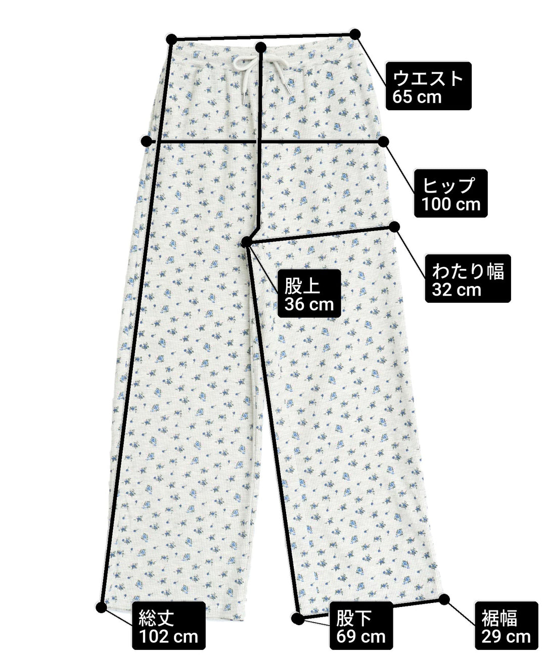 サイズ