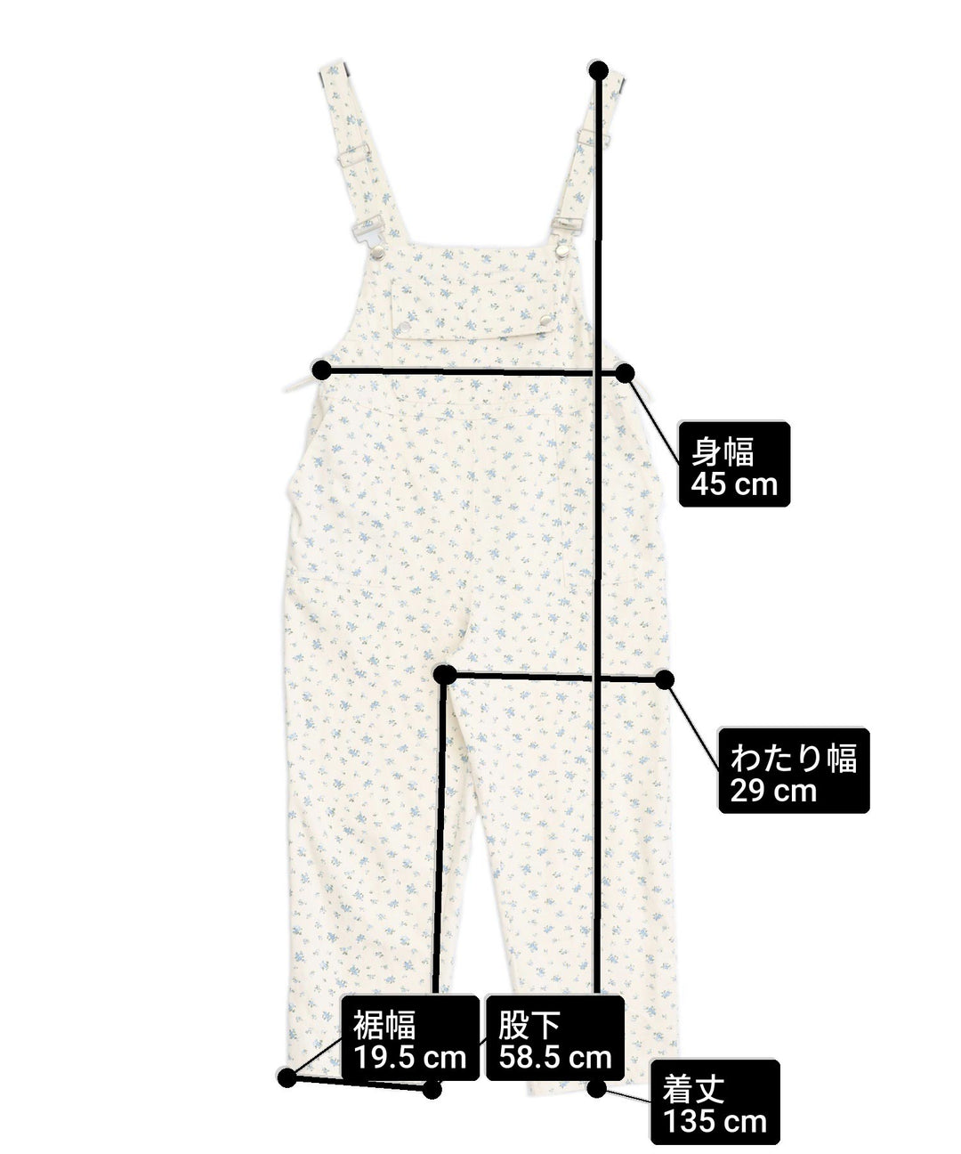 サイズ