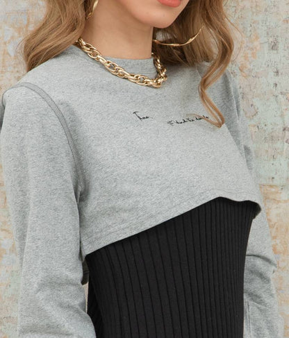 レタリング刺繍ショートTシャツ