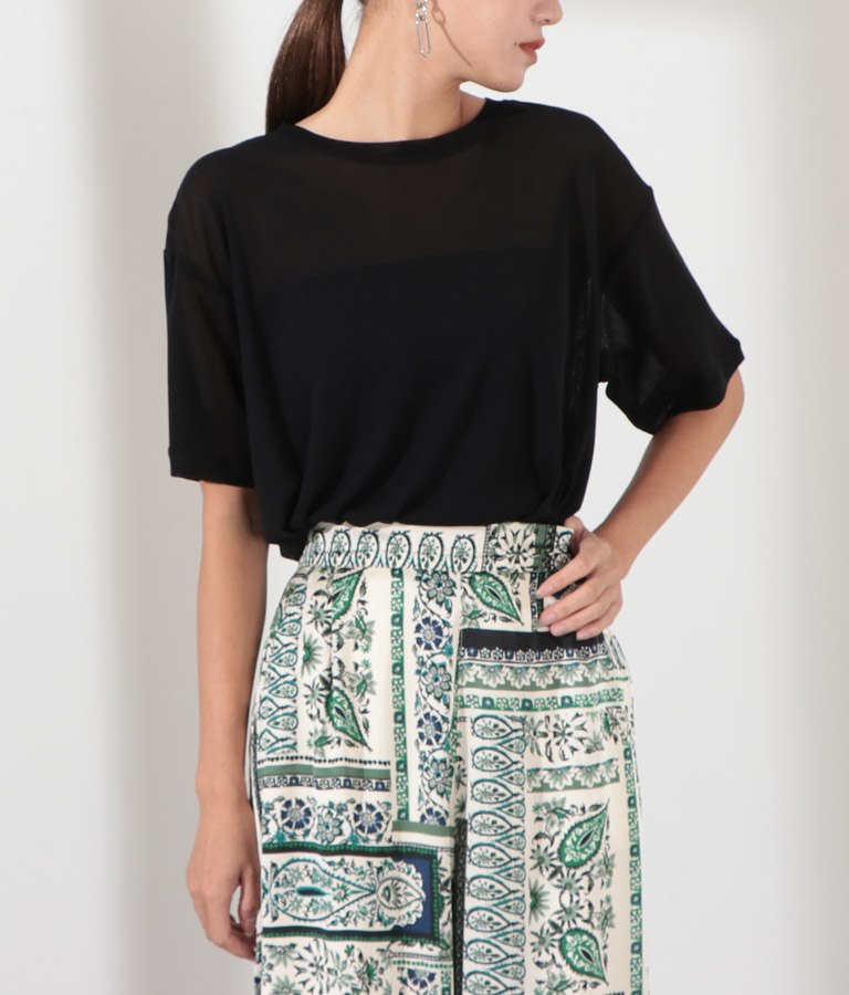 シアーネットTシャツ 493-2393