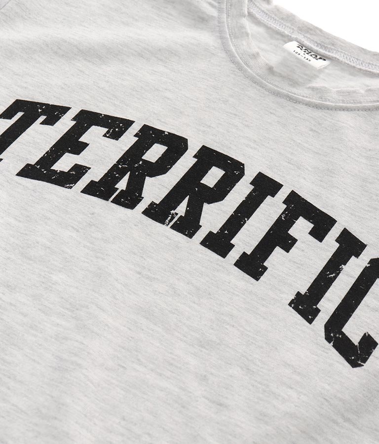 カレッジ ロゴ ダメージ ビッグ Tシャツ 423-2555