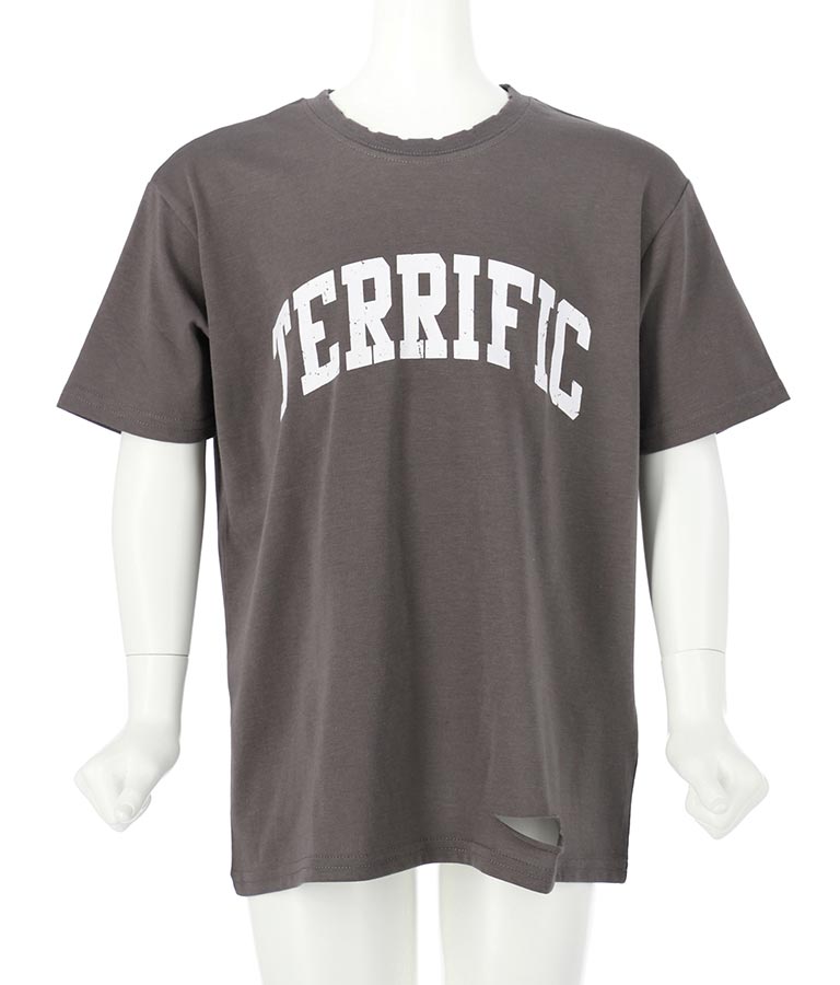 カレッジ ロゴ ダメージ ビッグ Tシャツ 423-2555