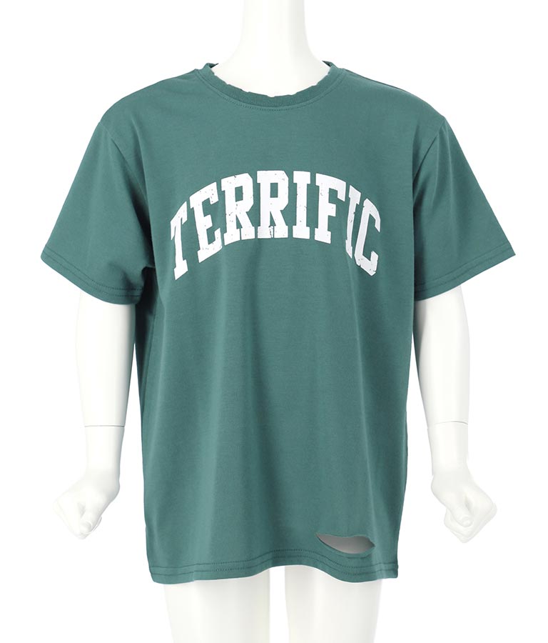 カレッジ ロゴ ダメージ ビッグ Tシャツ 423-2555