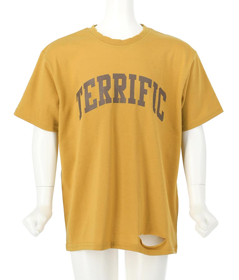 カレッジ ロゴ ダメージ ビッグ Tシャツ 423-2555