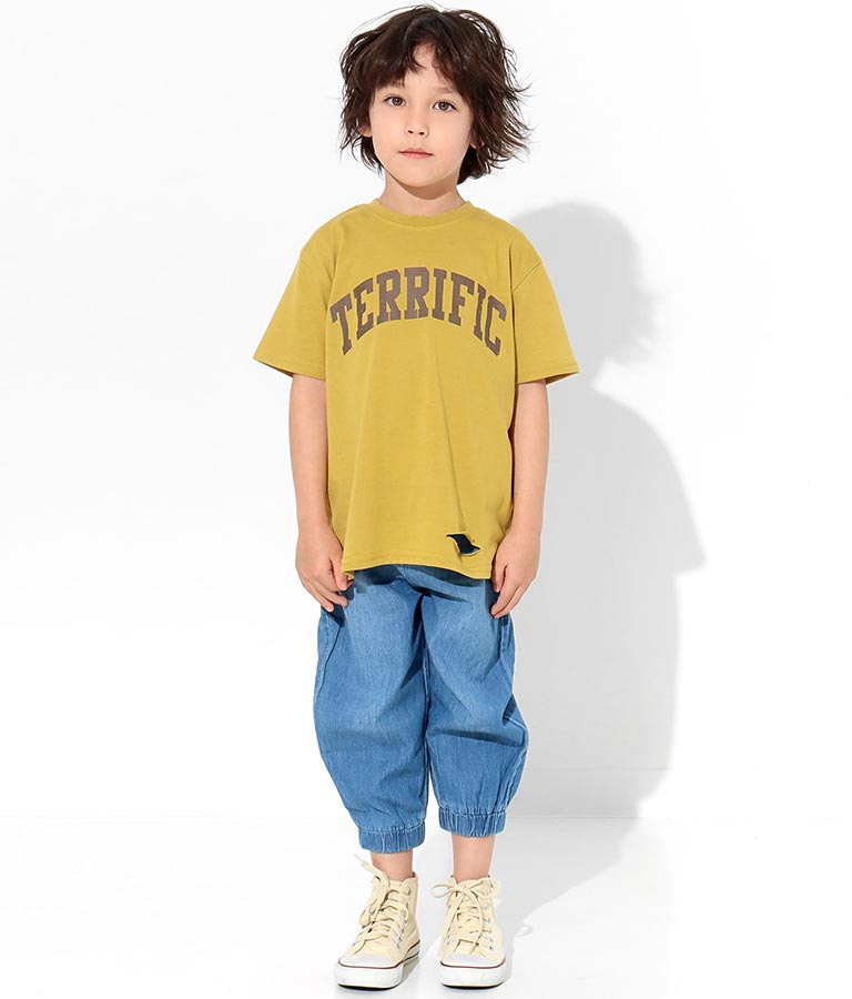 カレッジ ロゴ ダメージ ビッグ Tシャツ 423-2555