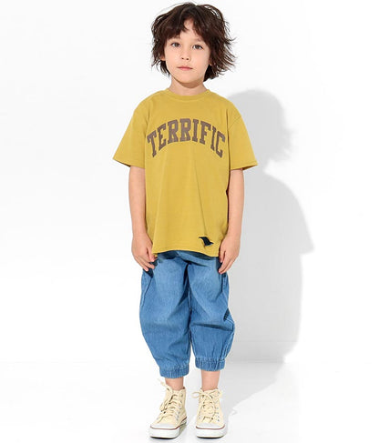 カレッジ ロゴ ダメージ ビッグ Tシャツ 423-2555