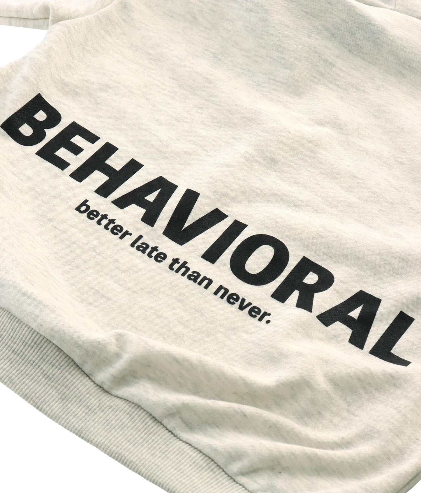 ワンポイントanap裏毛フーディートップススウェット 423-2952