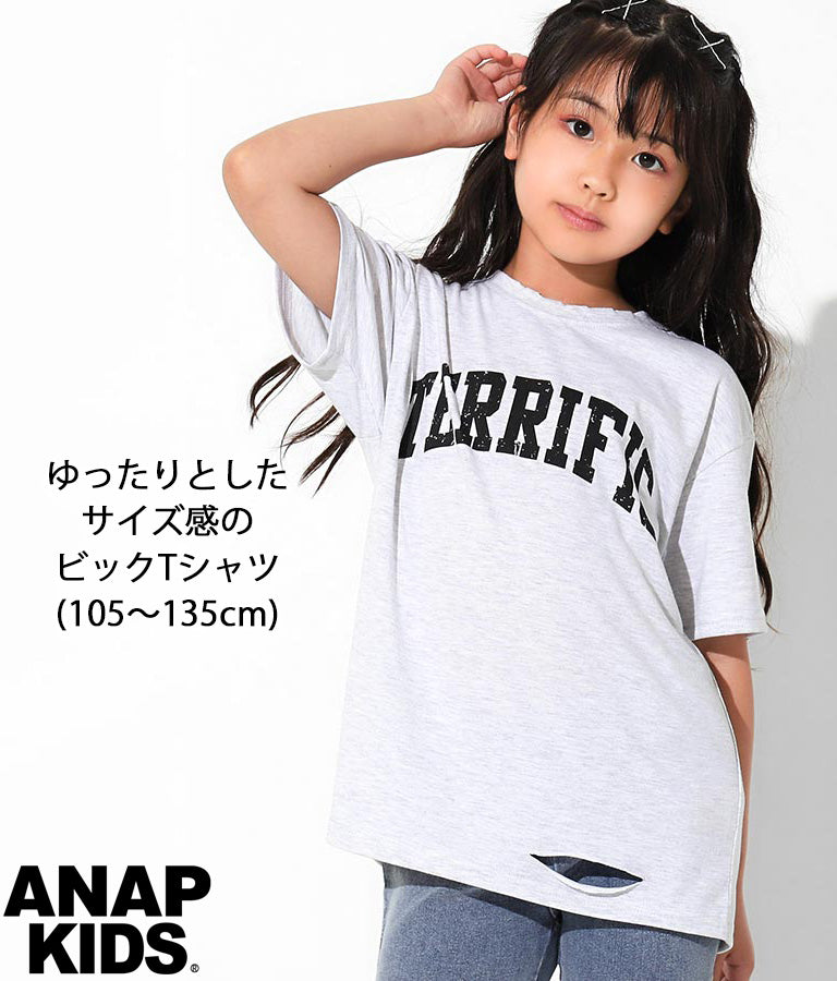 カレッジ ロゴ ダメージ ビッグ Tシャツ 423-2555