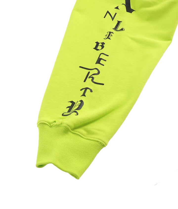 ANLIBERTY 限定 ロゴ ダメージ フーディー 30-3110