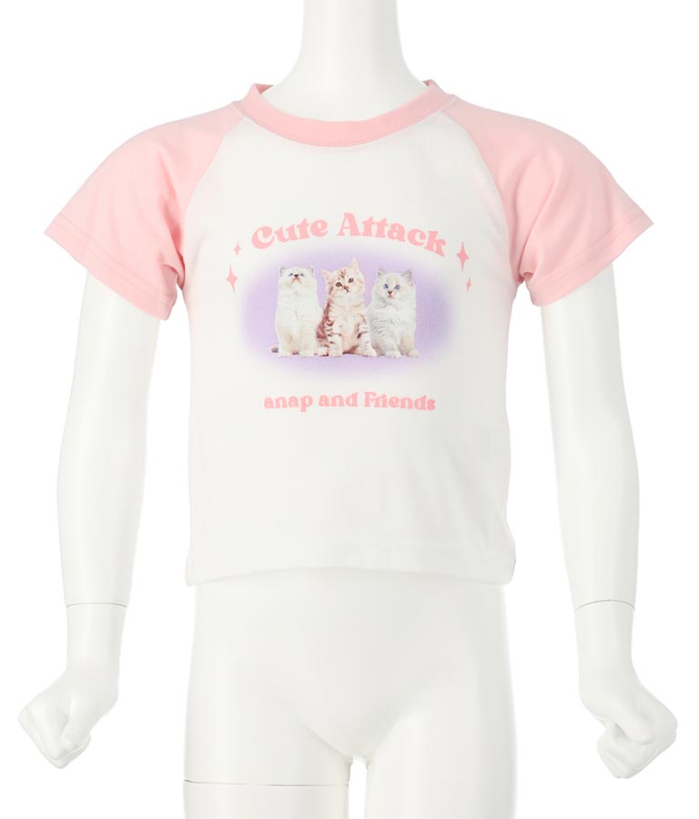 ねこ フォト プリント ラグラン Tシャツ 423-3252