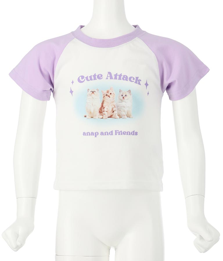 ねこ フォト プリント ラグラン Tシャツ 423-3252