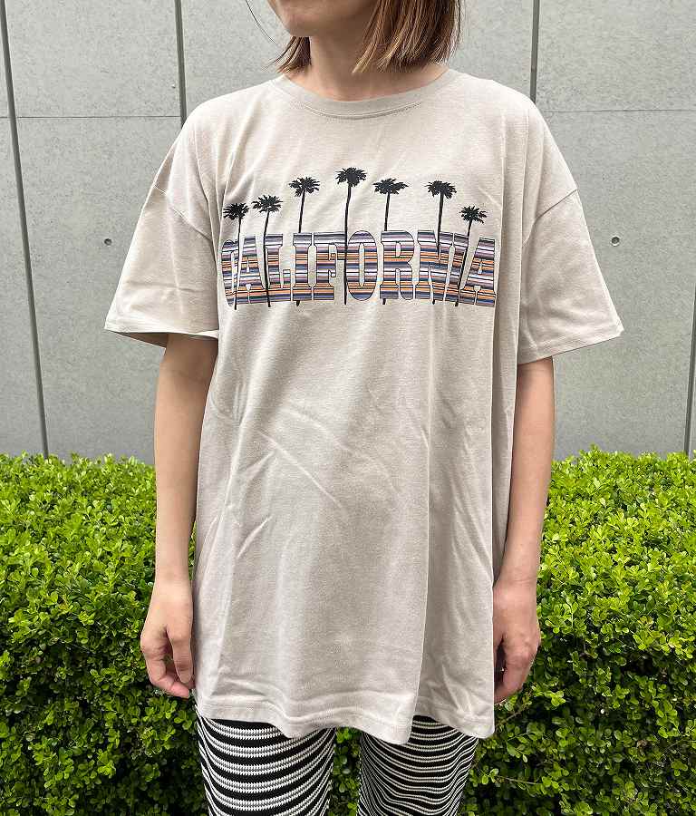 CALIFORNIA ボーダー パームツリー 半袖 ビッグ Tシャツ 853-5868