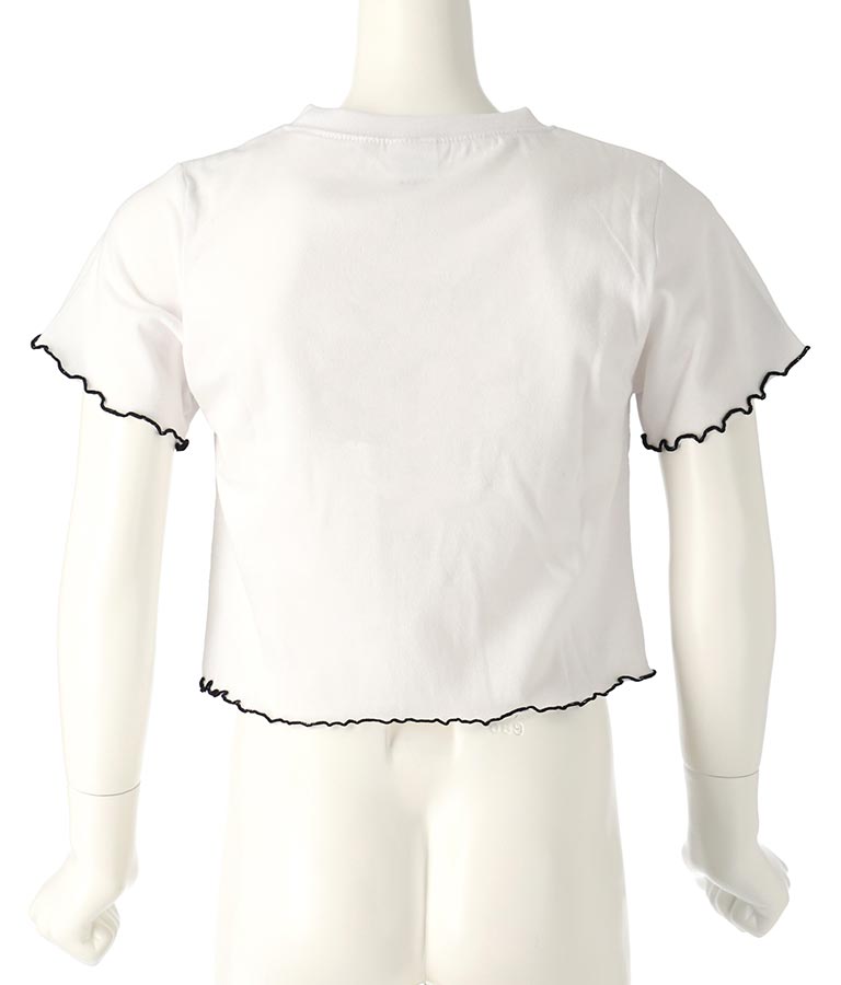 Tシャツ ×レースアップ ビスチェ セット トップス 428-3377